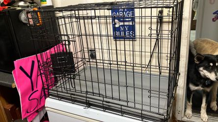 Medium Size Dog Cage