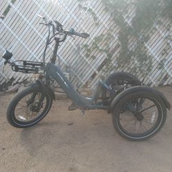 Lectric XP Trike 2.0