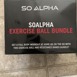 So Alpha Gym Bundle Exercise Ball