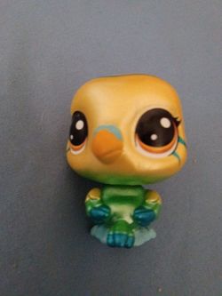 Parakeet green shimmer