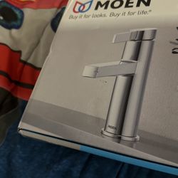 MOEN Bathroom Duster Brand New 