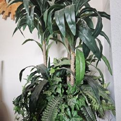 Artificial Plant Pick Up Only. About 5.5 To 6ft Tall 