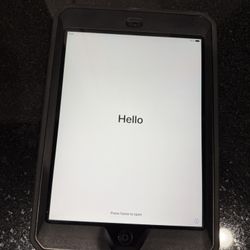 Apple iPad mini 