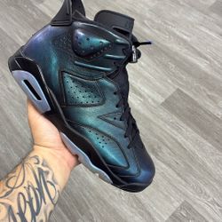 Jordan 6 Chamelon