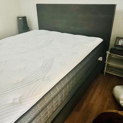 Queen Bed Frame, Mattress And Box Spring 