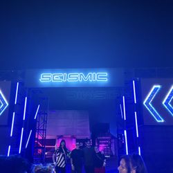 Seismic VIP ticket (Sunday)