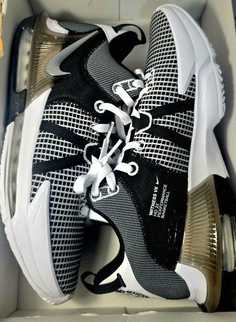 Nike LeBron Witness VII 7 White Metallic Silver Black DM1123-100 Men's Size 11 NEW