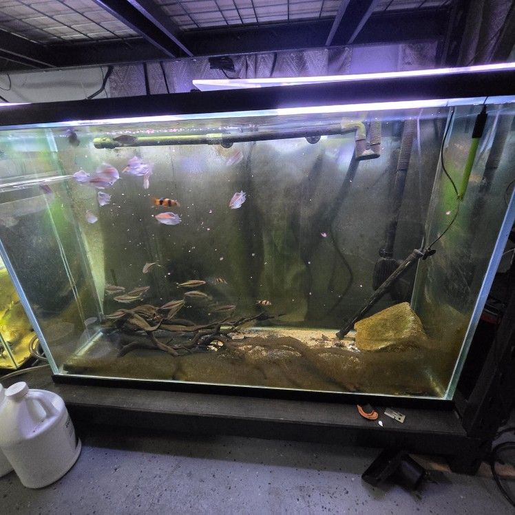 110g Extra Tall Aquarium And Stand