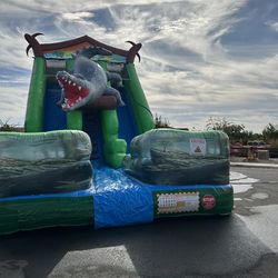 22Ft Waterslide Double Lane