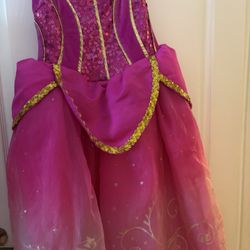 Princess Aurora Dress 
