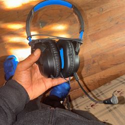 Turtle Beach Headset