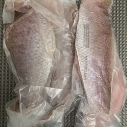 Filete De Pargo Fresco 