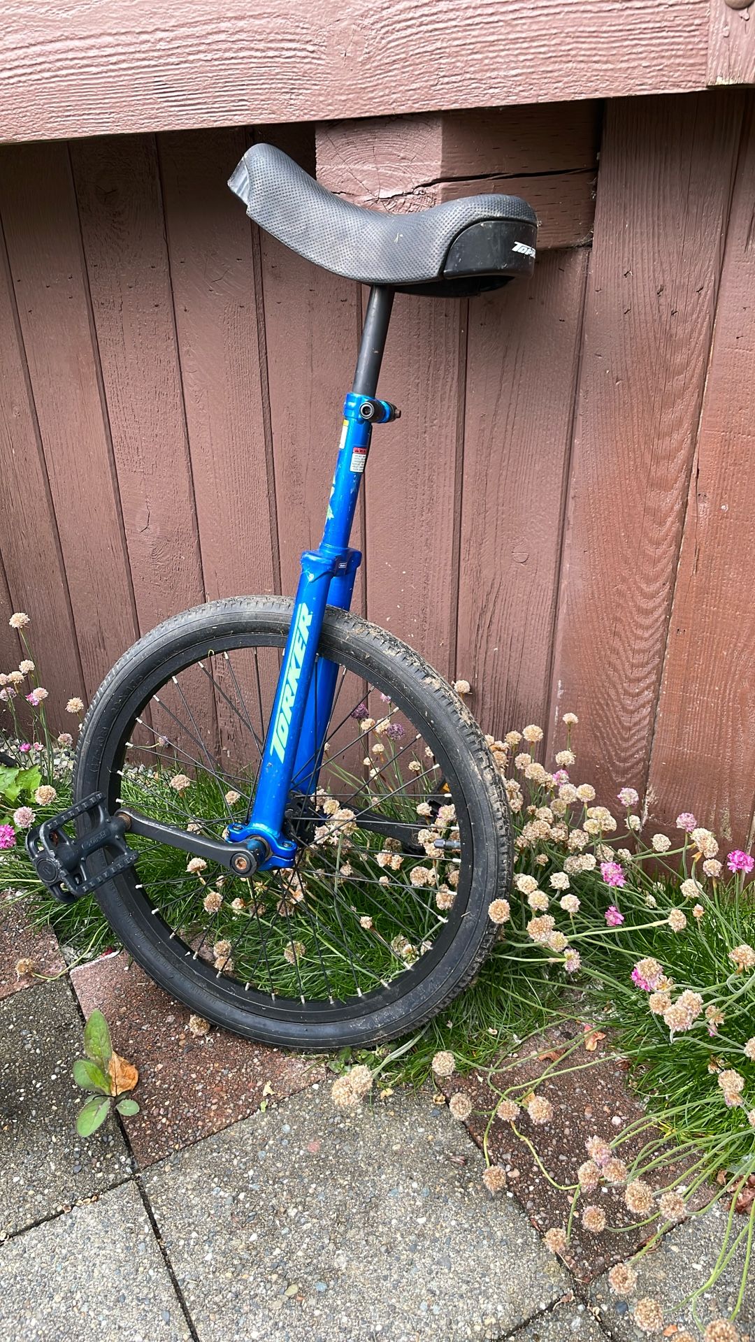 Unicycle