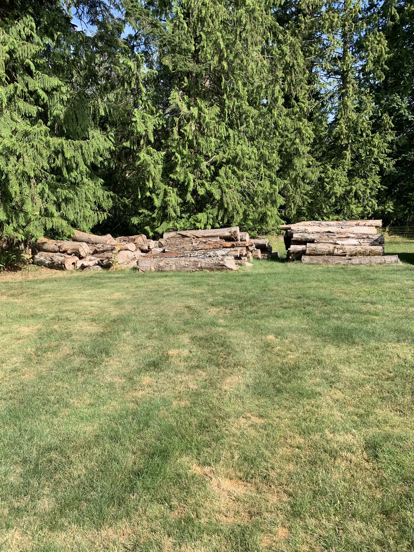 Logs 