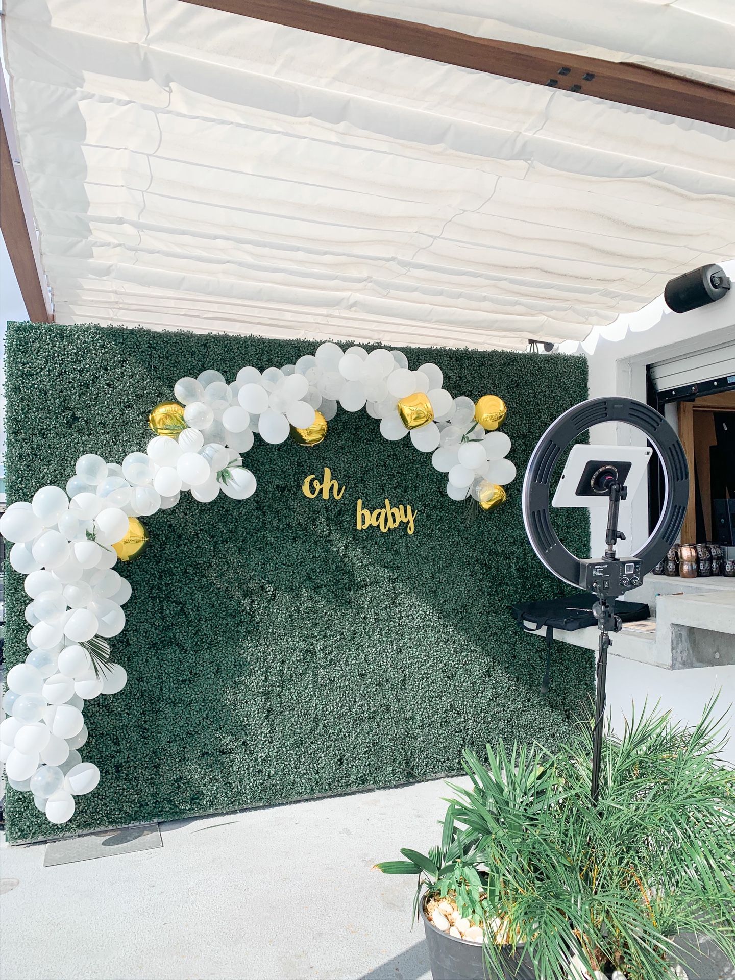 Baby shower Backdrop set up (Photo booth optional)