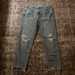 Garage Mom Jeans Size 29