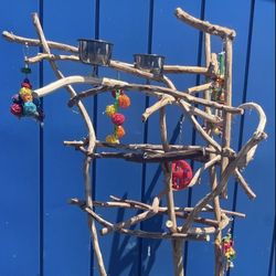 Parrot Perch Tree - Our Funky n Curvy Model … For Small Birds Or Medium Parrots ( African Grey / Amazon )!