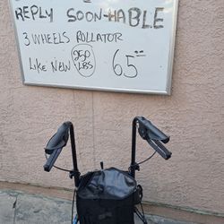 3 Wheels  Walker 