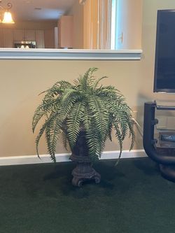 Faux Fern