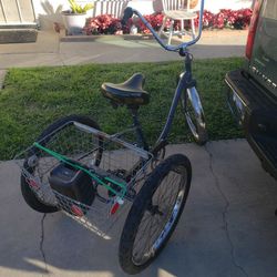 3 wheel cruiser