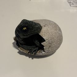 Jurassic Era Velociraptor Breaking Out Egg Statue