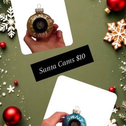 Santa Cam