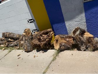 Free Clean fire wood