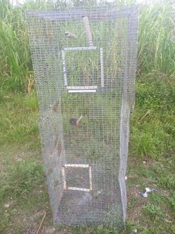 Bird Cage 60"xx 22".