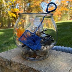 Beta Fish Bowl