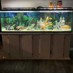 Aquarium