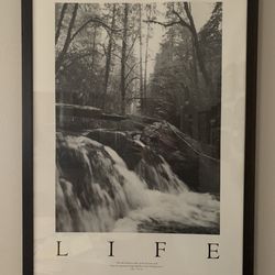Matching Framed Black & White Nature Prints — "Praise" & "Life" | Images of Creation