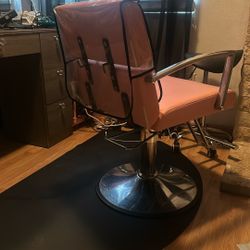 Salon Chair
