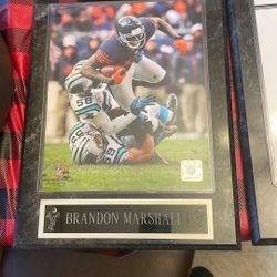 Chicago Bears Membelia