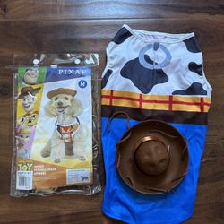 Woody and Buzz Pet Costume 