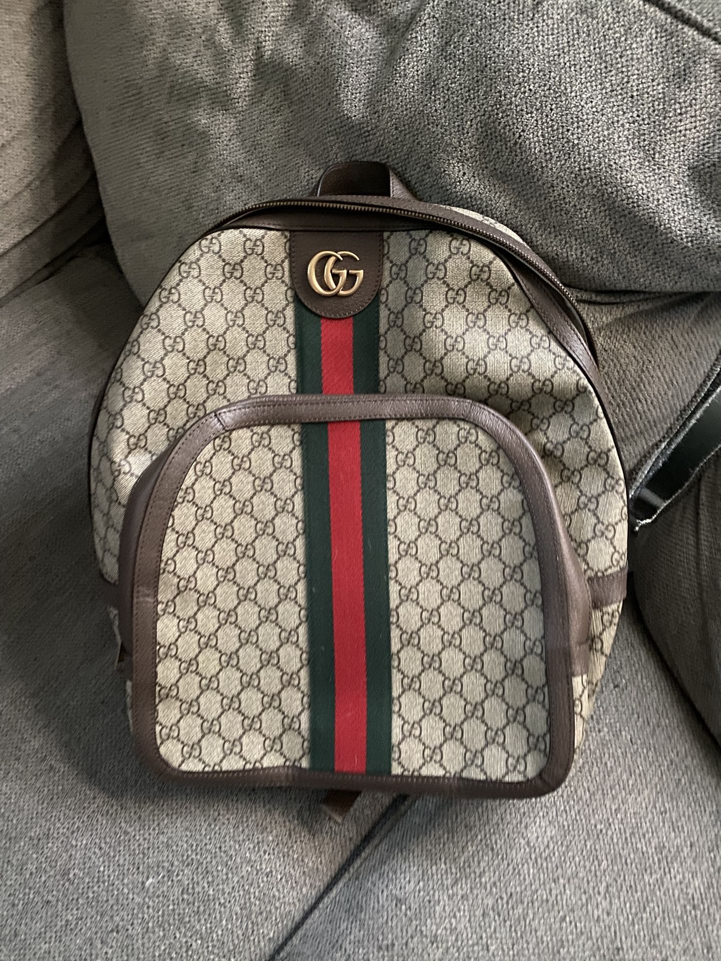 Gucci Ophidia  backpack