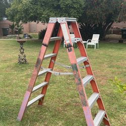 Ladder 6’ Double Step