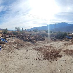Firewood For Sale