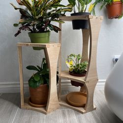 Modern Planters