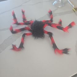 Halloween Decorations