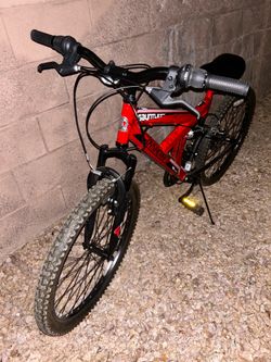 Gauntlet/DYNACRAFT mountain bike