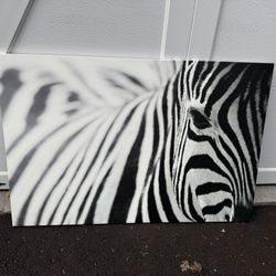 IKEA Large Zebra Canvas Print Well Art 30.75”x46.5”
