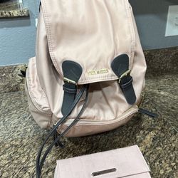 Pink Steve Madden Wallet And Bag. Offers Only.