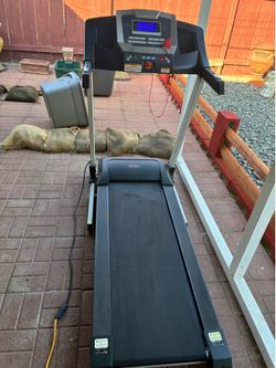 Sunday treadmill