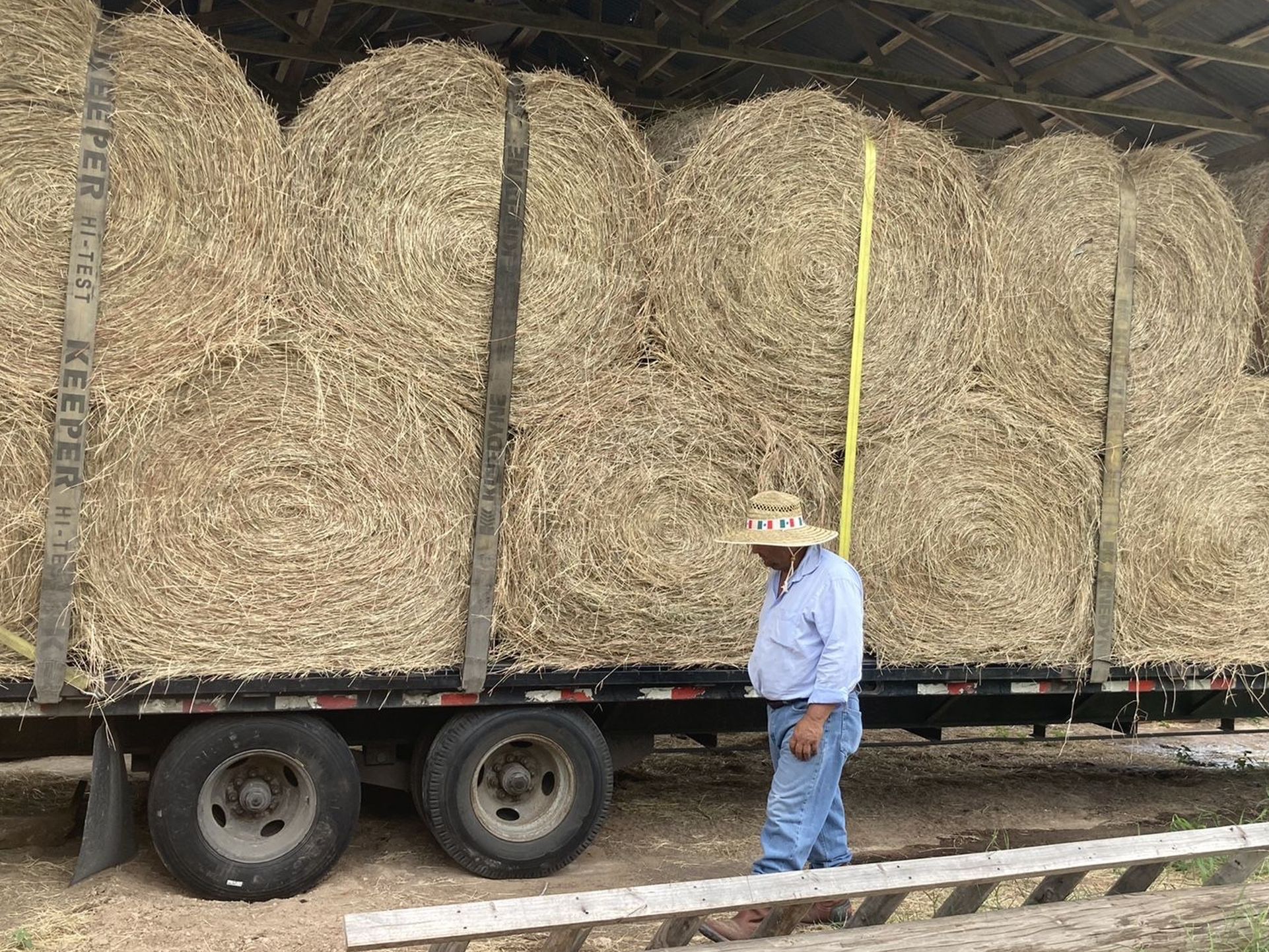 Fresh -Round Hay Bales- Free Delivery , Austin , San Antonio And Surroundings
