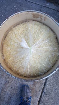 White bee wax
