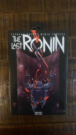 The Last Ronin Raphael