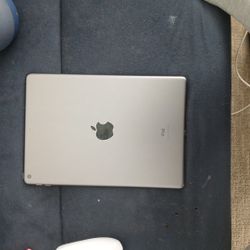 Apple IPad 7th Gen