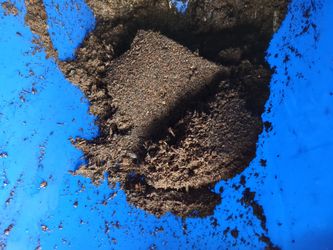 Kellogg Organic Garden Soil