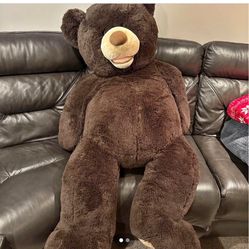 Costco Teddy Bear