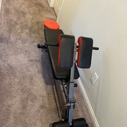 Weight Bench 